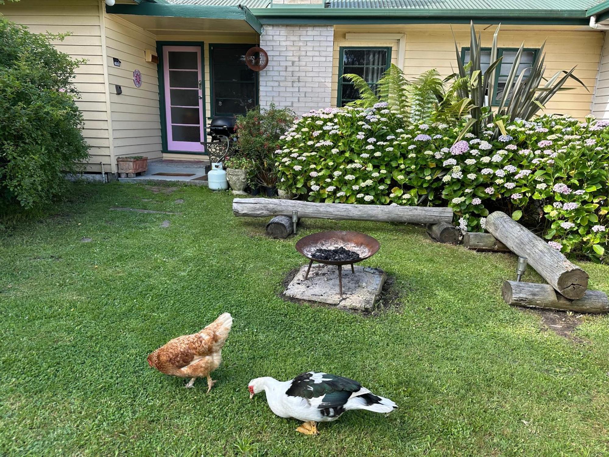 Bush Retreat Farm Stay 2 Bedroom Guest Suite Gelliondale Exterior foto